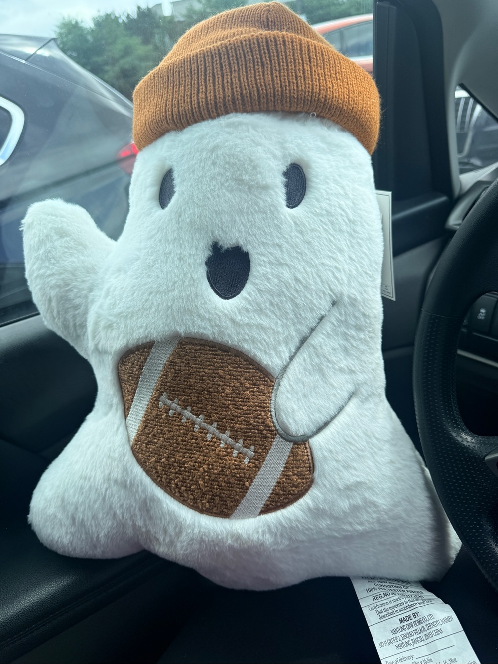 Martha Stewart Ghost with football and beanie throw pillow.